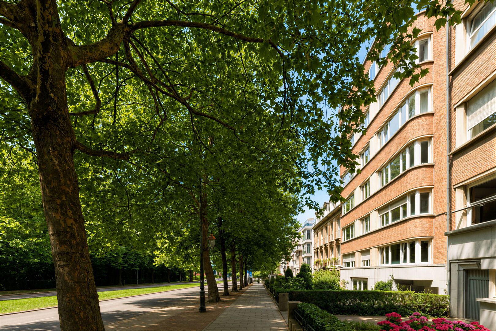 L'avenue Franklin Roosevelt à Bruxelles : l'histoire d'une avenue d'exception